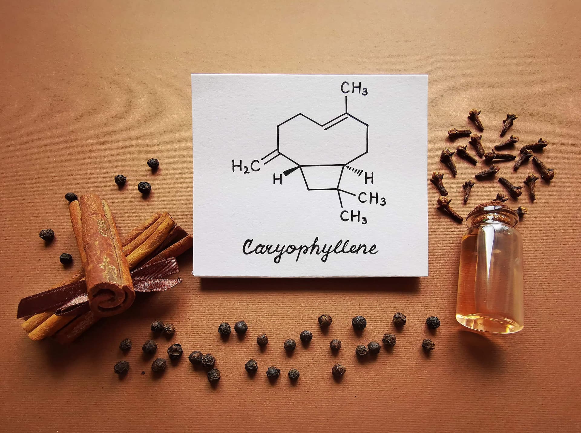 Kärtchen mit der chemischen Formel von Caryophyllen umgeben von Duftstoffen für Cannabis