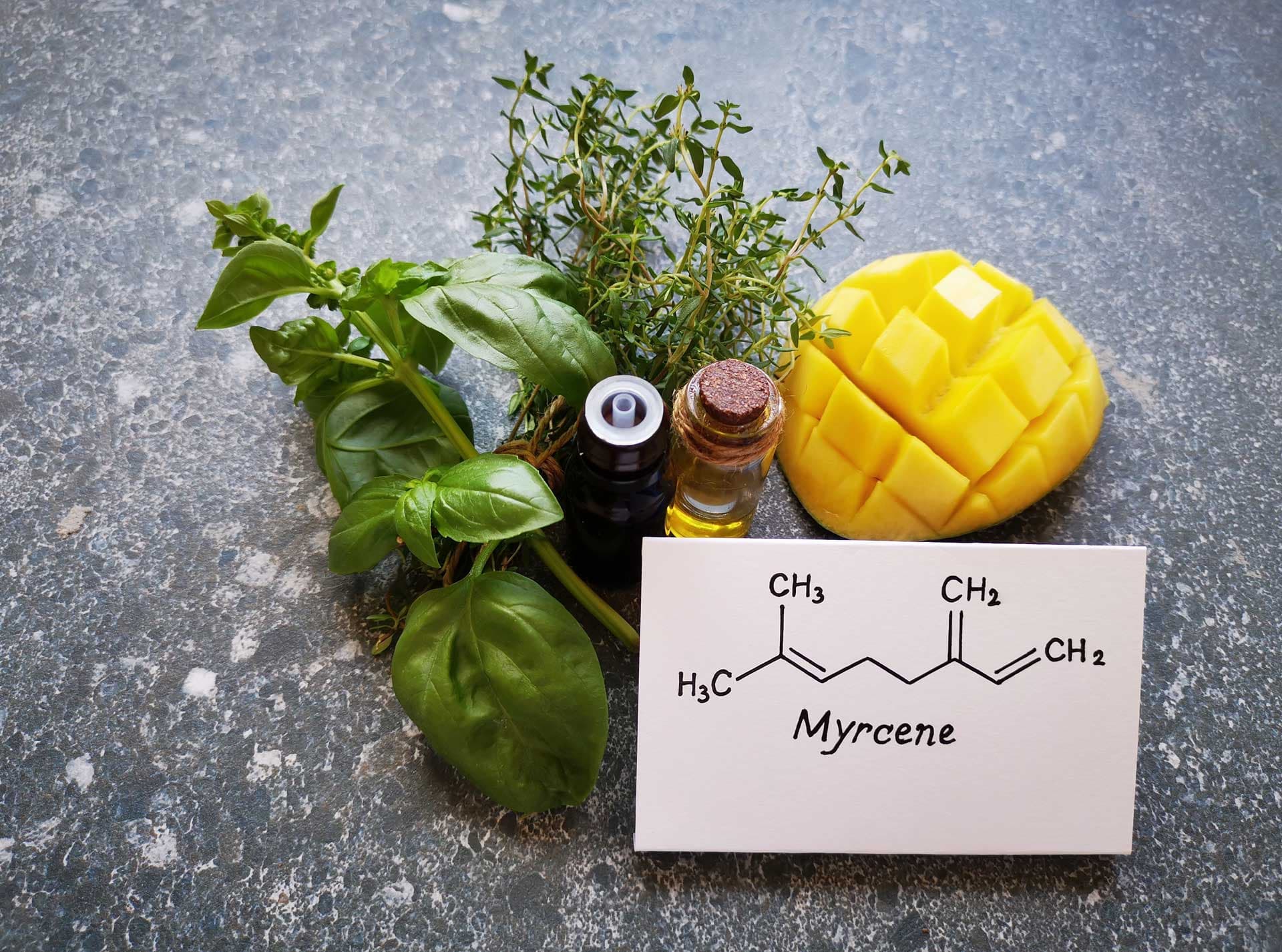 Kärtchen mit der chemischen Formel von Mycren umgeben von natürlichen, pflanzlichen Duftstoffen