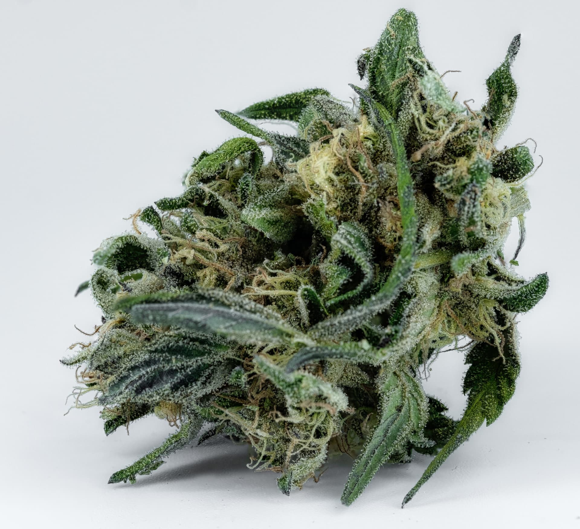 Silver Haze: Süßholz-Raspler mit Zitrushauch