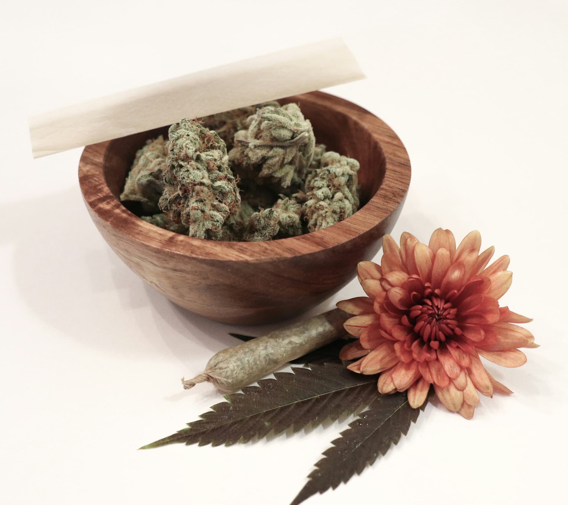 Indica vs. Sativa Cannabissorten Indica und Sativa in einer kleinen Holzschale, daneben ein Joint eine Blume und ein Cannabisblatt